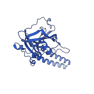 32325_7w5z_h_v1-2
Cryo-EM structure of Tetrahymena thermophila mitochondrial complex IV, composite dimer model