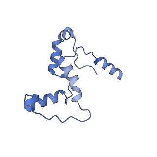 32325_7w5z_i_v1-2
Cryo-EM structure of Tetrahymena thermophila mitochondrial complex IV, composite dimer model