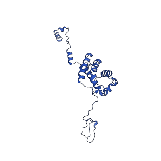 32325_7w5z_k_v1-2
Cryo-EM structure of Tetrahymena thermophila mitochondrial complex IV, composite dimer model