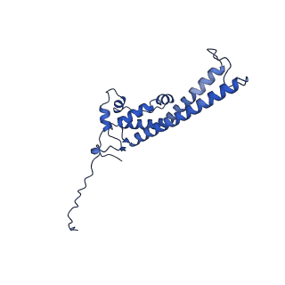 32325_7w5z_l_v1-2
Cryo-EM structure of Tetrahymena thermophila mitochondrial complex IV, composite dimer model
