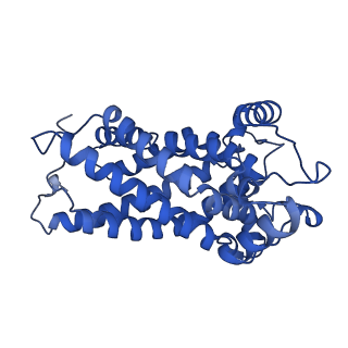 32325_7w5z_m2_v1-2
Cryo-EM structure of Tetrahymena thermophila mitochondrial complex IV, composite dimer model