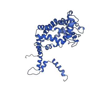 32325_7w5z_m3_v1-2
Cryo-EM structure of Tetrahymena thermophila mitochondrial complex IV, composite dimer model