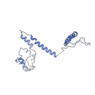 32325_7w5z_m_v1-2
Cryo-EM structure of Tetrahymena thermophila mitochondrial complex IV, composite dimer model