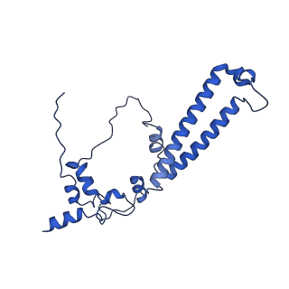 32325_7w5z_n_v1-2
Cryo-EM structure of Tetrahymena thermophila mitochondrial complex IV, composite dimer model