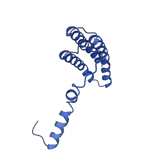 32325_7w5z_o_v1-2
Cryo-EM structure of Tetrahymena thermophila mitochondrial complex IV, composite dimer model
