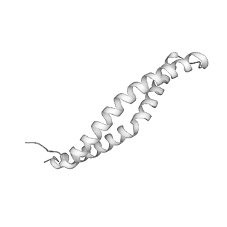 32325_7w5z_u1_v1-2
Cryo-EM structure of Tetrahymena thermophila mitochondrial complex IV, composite dimer model