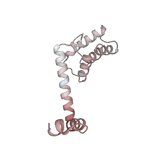 32325_7w5z_u2_v1-2
Cryo-EM structure of Tetrahymena thermophila mitochondrial complex IV, composite dimer model