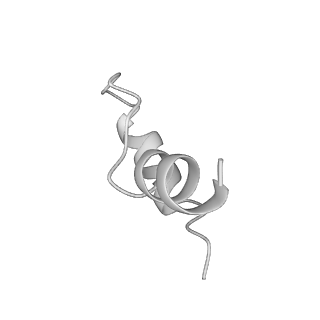 32325_7w5z_u3_v1-2
Cryo-EM structure of Tetrahymena thermophila mitochondrial complex IV, composite dimer model