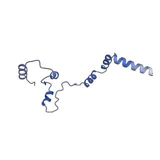 32325_7w5z_w_v1-2
Cryo-EM structure of Tetrahymena thermophila mitochondrial complex IV, composite dimer model