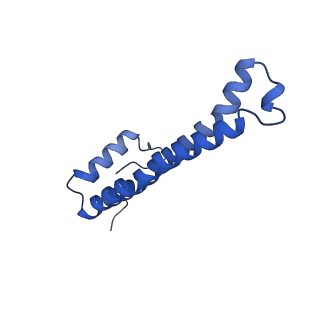 32325_7w5z_x_v1-2
Cryo-EM structure of Tetrahymena thermophila mitochondrial complex IV, composite dimer model