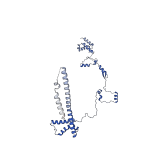 32325_7w5z_y7_v1-2
Cryo-EM structure of Tetrahymena thermophila mitochondrial complex IV, composite dimer model