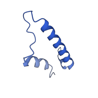 32325_7w5z_z_v1-2
Cryo-EM structure of Tetrahymena thermophila mitochondrial complex IV, composite dimer model