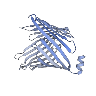 37294_8w5j_A_v1-0
Cryo-EM structure of the yeast TOM core complex (from TOM-TIM23 complex)