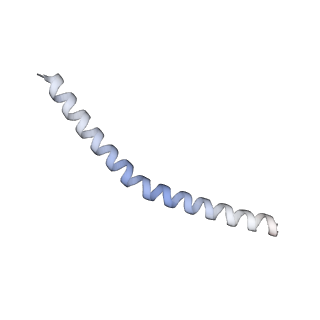 37294_8w5j_B_v1-0
Cryo-EM structure of the yeast TOM core complex (from TOM-TIM23 complex)