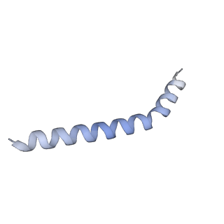 37294_8w5j_C_v1-0
Cryo-EM structure of the yeast TOM core complex (from TOM-TIM23 complex)