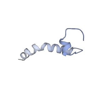 37294_8w5j_E_v1-0
Cryo-EM structure of the yeast TOM core complex (from TOM-TIM23 complex)