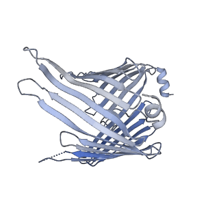 37294_8w5j_I_v1-0
Cryo-EM structure of the yeast TOM core complex (from TOM-TIM23 complex)