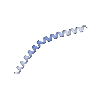 37294_8w5j_J_v1-0
Cryo-EM structure of the yeast TOM core complex (from TOM-TIM23 complex)