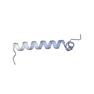 37294_8w5j_L_v1-0
Cryo-EM structure of the yeast TOM core complex (from TOM-TIM23 complex)