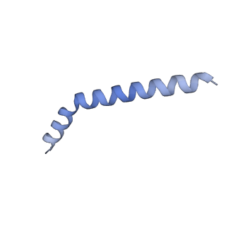 37295_8w5k_C_v1-0
Cryo-EM structure of the yeast TOM core complex crosslinked by BS3 (from TOM-TIM23 complex)