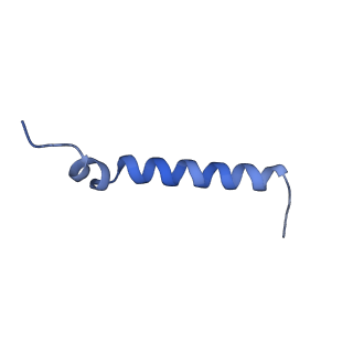 37295_8w5k_D_v1-0
Cryo-EM structure of the yeast TOM core complex crosslinked by BS3 (from TOM-TIM23 complex)