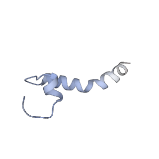 37295_8w5k_E_v1-0
Cryo-EM structure of the yeast TOM core complex crosslinked by BS3 (from TOM-TIM23 complex)