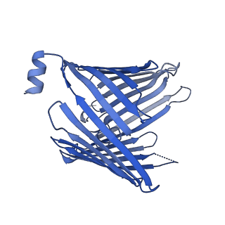 37295_8w5k_F_v1-0
Cryo-EM structure of the yeast TOM core complex crosslinked by BS3 (from TOM-TIM23 complex)