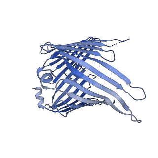 37295_8w5k_I_v1-0
Cryo-EM structure of the yeast TOM core complex crosslinked by BS3 (from TOM-TIM23 complex)