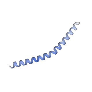 37295_8w5k_J_v1-0
Cryo-EM structure of the yeast TOM core complex crosslinked by BS3 (from TOM-TIM23 complex)