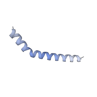 37295_8w5k_K_v1-0
Cryo-EM structure of the yeast TOM core complex crosslinked by BS3 (from TOM-TIM23 complex)