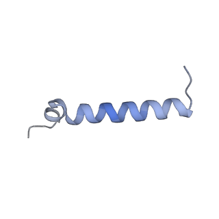 37295_8w5k_L_v1-0
Cryo-EM structure of the yeast TOM core complex crosslinked by BS3 (from TOM-TIM23 complex)