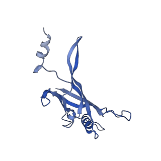 8767_5w5f_A_v1-4
Cryo-EM structure of the T4 tail tube