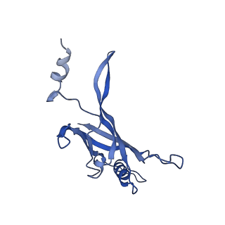 8767_5w5f_A_v1-5
Cryo-EM structure of the T4 tail tube