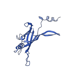 8767_5w5f_B_v1-5
Cryo-EM structure of the T4 tail tube