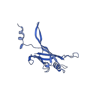 8767_5w5f_C_v1-5
Cryo-EM structure of the T4 tail tube