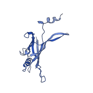 8767_5w5f_D_v1-5
Cryo-EM structure of the T4 tail tube