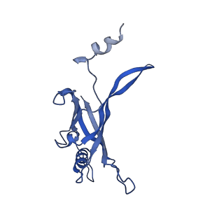 8767_5w5f_E_v1-5
Cryo-EM structure of the T4 tail tube