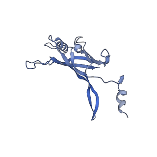 8767_5w5f_K_v1-5
Cryo-EM structure of the T4 tail tube