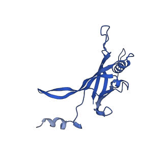 8767_5w5f_L_v1-5
Cryo-EM structure of the T4 tail tube