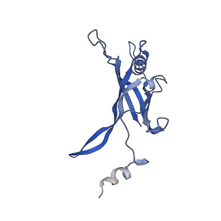 8767_5w5f_N_v1-5
Cryo-EM structure of the T4 tail tube