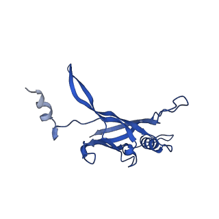 8767_5w5f_O_v1-5
Cryo-EM structure of the T4 tail tube