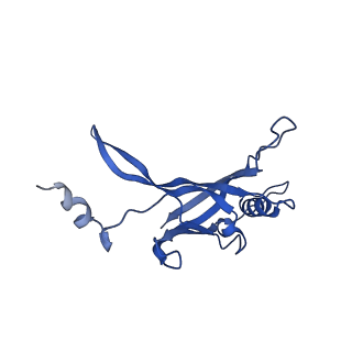 8767_5w5f_P_v1-4
Cryo-EM structure of the T4 tail tube