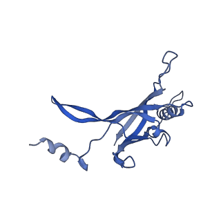 8767_5w5f_Q_v1-5
Cryo-EM structure of the T4 tail tube