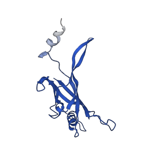 8767_5w5f_R_v1-4
Cryo-EM structure of the T4 tail tube