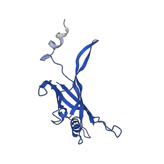 8767_5w5f_R_v1-5
Cryo-EM structure of the T4 tail tube