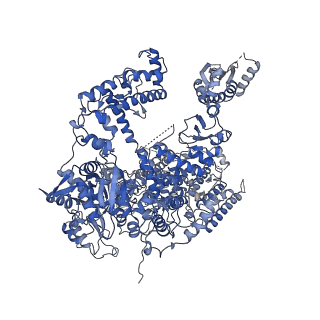 8771_5w5y_A_v1-4
RNA polymerase I Initial Transcribing Complex