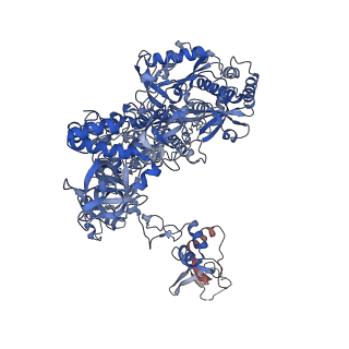 8771_5w5y_B_v1-4
RNA polymerase I Initial Transcribing Complex