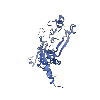 8771_5w5y_C_v1-4
RNA polymerase I Initial Transcribing Complex