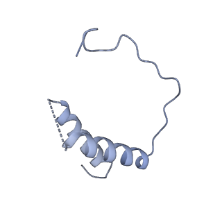 8771_5w5y_D_v1-4
RNA polymerase I Initial Transcribing Complex