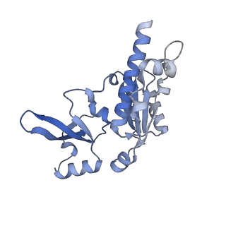 8771_5w5y_E_v1-4
RNA polymerase I Initial Transcribing Complex